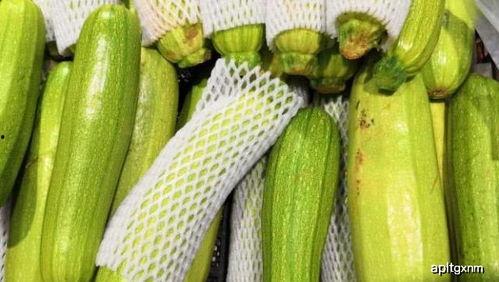 痛风吃小瓜 第2张 痛风吃小瓜 第2张